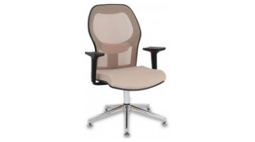 Mean Visitor Armchair