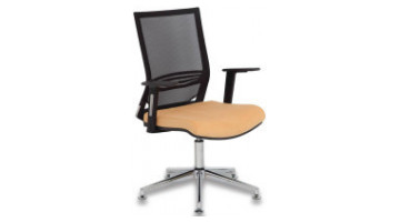 Nail Visitor Armchair