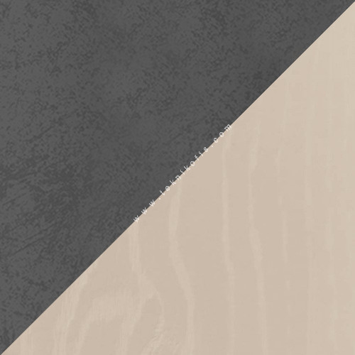 deniz kabuğu ve kumsal