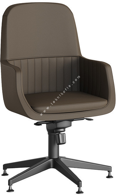 avsas yıldız ayak misafir koltuğu