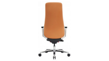 cayan kızak mekanizmalı yönetici koltuğu