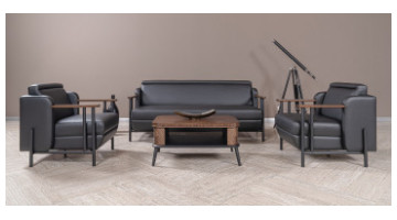 formia modern kanepe takımı