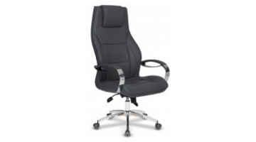 potre ergonomik yönetici koltuğu