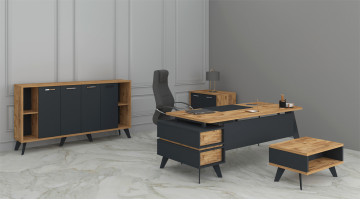 ransev modern yönetici takımı