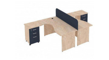 stani ikili workstation
